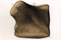 Kakowa egy régi magyar meteorit 1858-ból