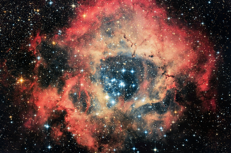 Rozetta-köd, NGC 2237
